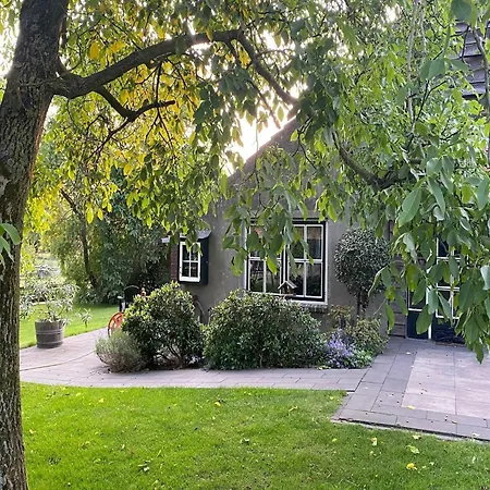 Cozy In With Garden *