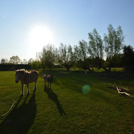 Cozy In With Garden Holiday home Bergen op Zoom