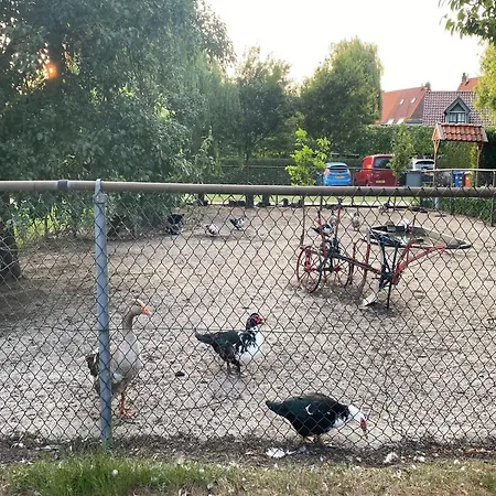 Cozy In With Garden * Bergen op Zoom