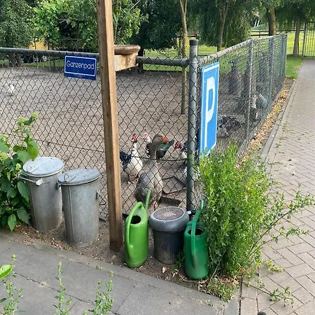 Cozy In With Garden * Bergen op Zoom