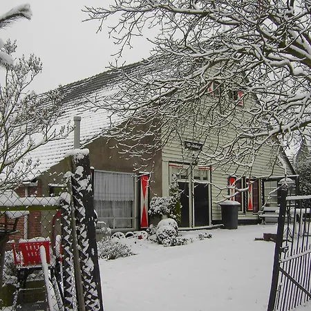 Cozy In With Garden