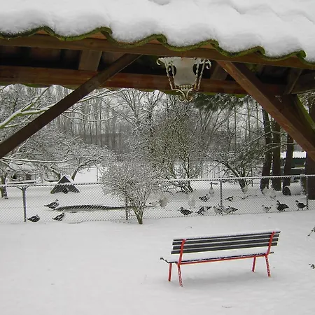 Semesterbostad Cozy In With Garden *