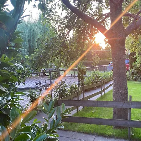 Holiday home Cozy In With Garden Bergen op Zoom