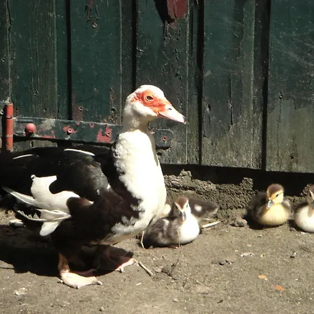 Cozy In With Garden Bergen op Zoom
