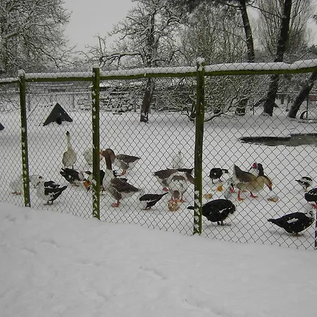 Cozy In With Garden Semesterbostad