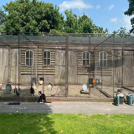 Cozy In With Garden * Bergen op Zoom