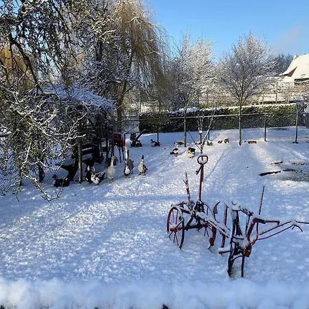 בית נופש Cozy In With Garden *