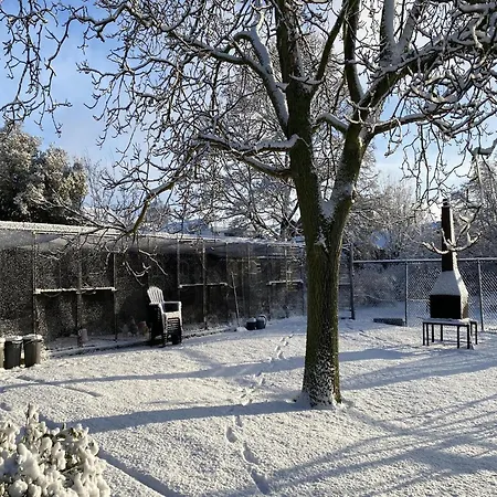 Dom wakacyjny Cozy In With Garden Bergen op Zoom