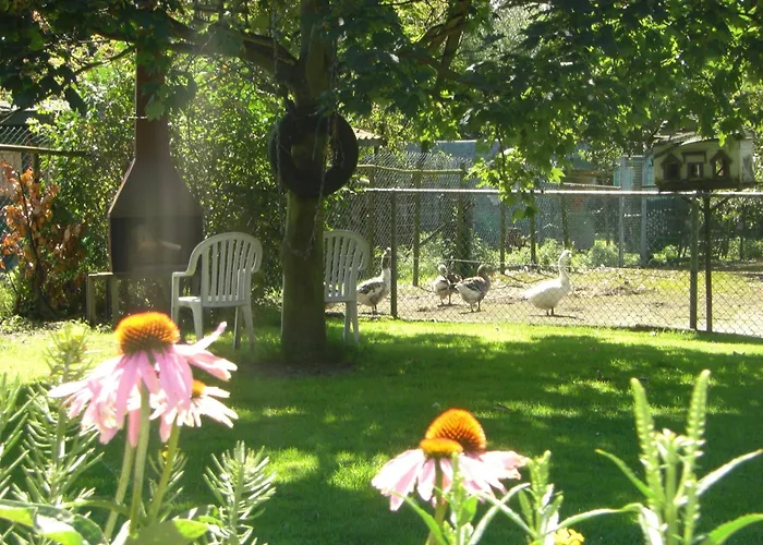 Cozy In With Garden * Bergen op Zoom