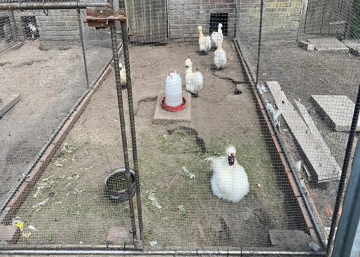 Cozy In With Garden *