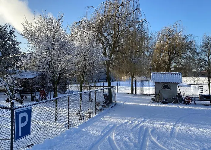 Dom wakacyjny Cozy In With Garden Bergen op Zoom