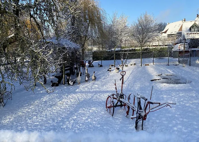 Dom wakacyjny Cozy In With Garden *