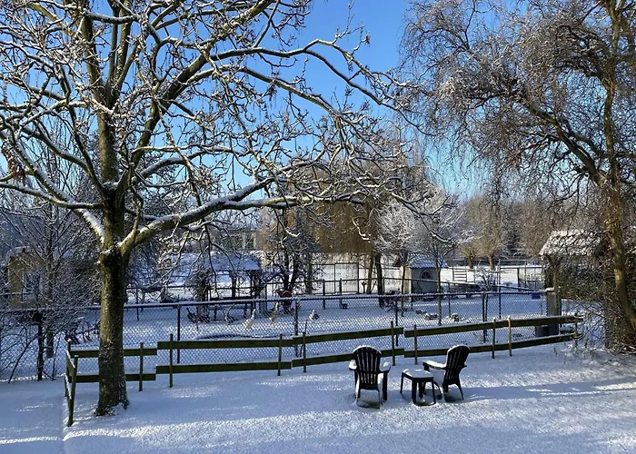 Cozy In With Garden Dom wakacyjny *