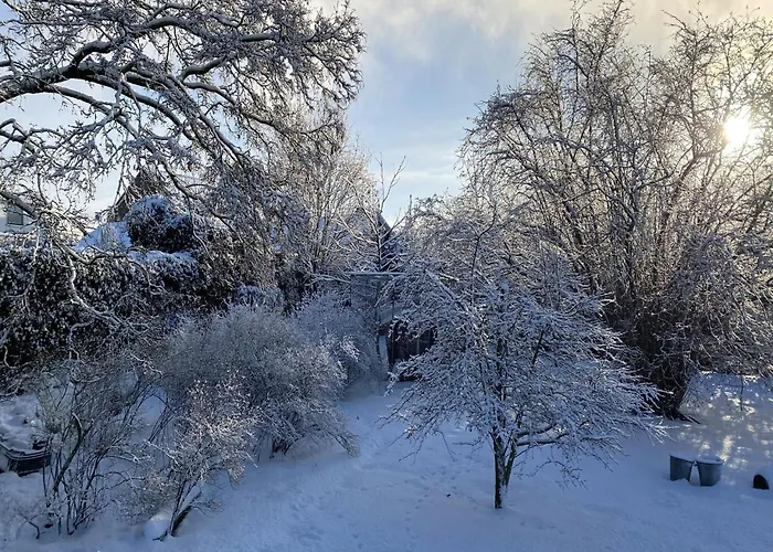 Cozy In With Garden Dom wakacyjny Bergen op Zoom