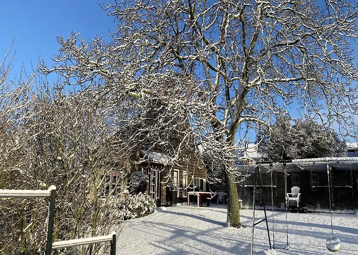 Cozy In With Garden Dom wakacyjny