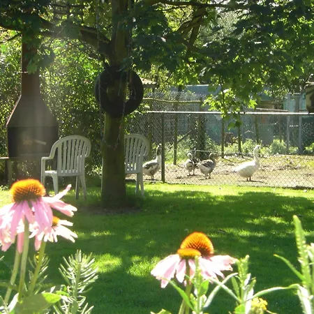 Cozy In With Garden * Bergen op Zoom
