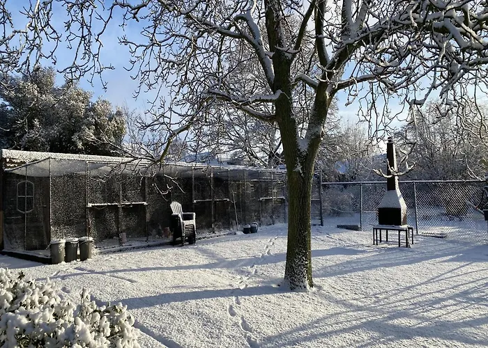 Cozy In With Garden ベルヘン・オプ・ゾーム